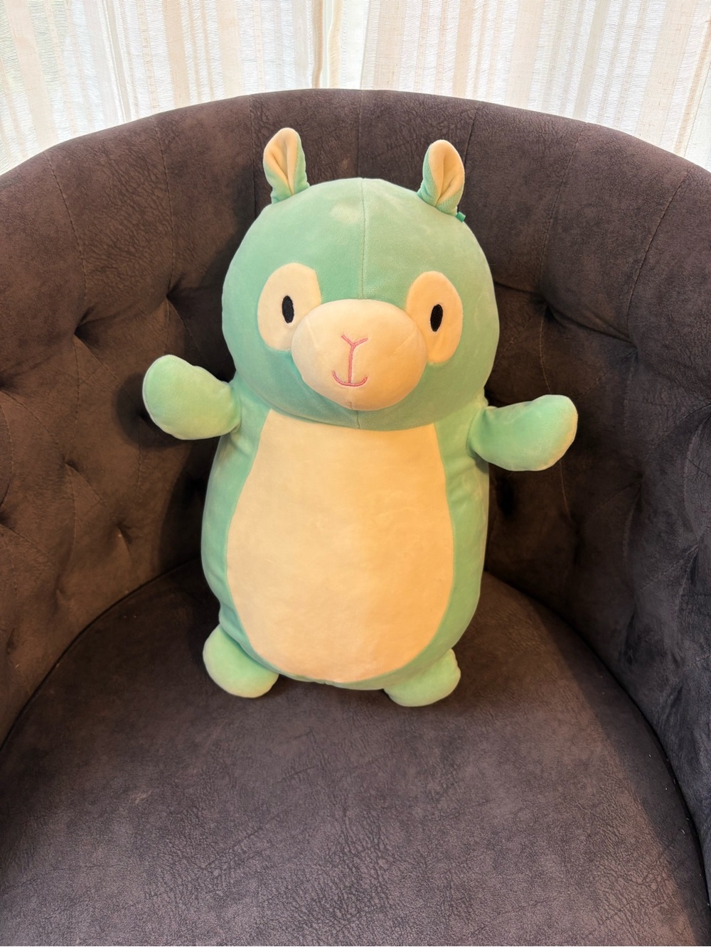 Pierre the Teal Llama — Hug Mees Squishmallow “14